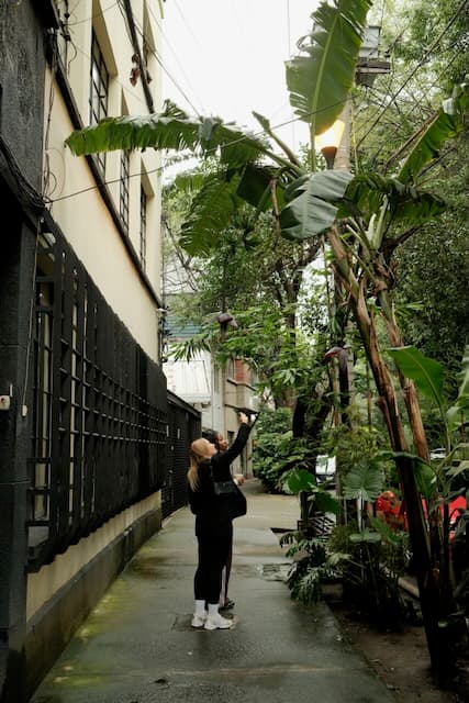 Einwegkamera Foto 2 von 27